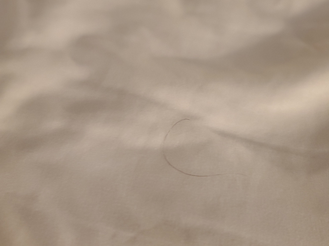 The Lodge Lake Chelan主图