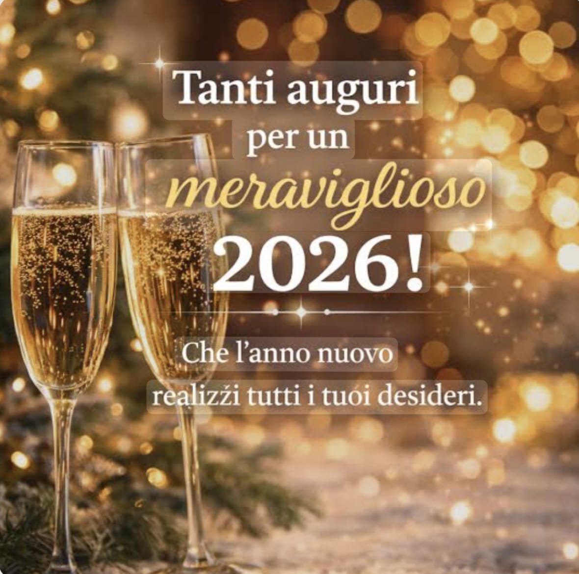 Hoftaverne Ziegelbock-官方