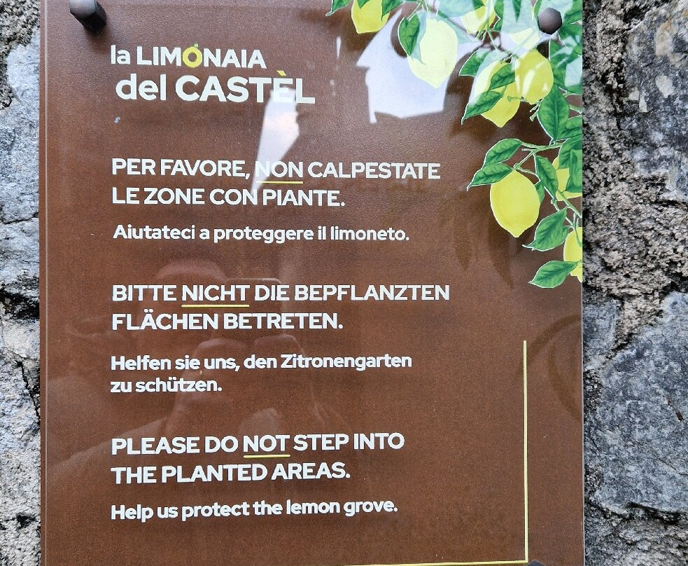 La Limonaia Del Castel-利莫内必去景点