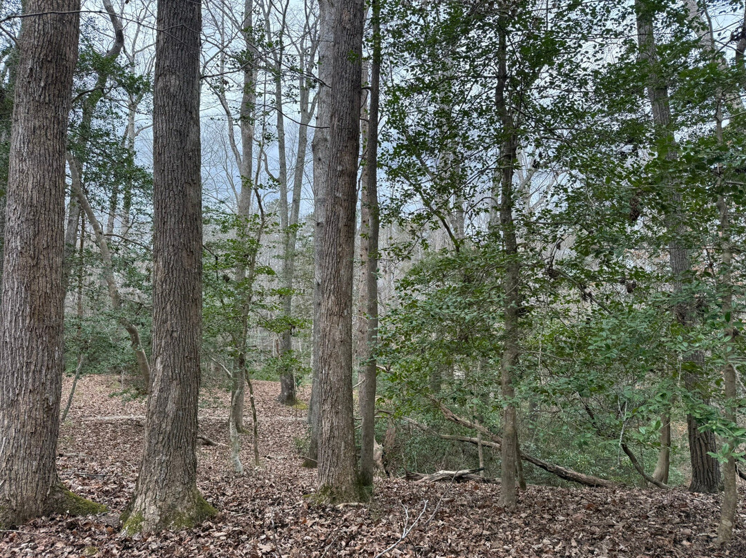York River State Park-威廉斯堡必去景点