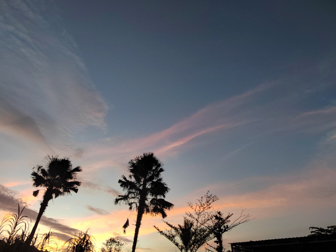 Joga Yoga Training-长谷必去景点