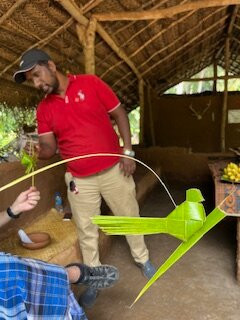 Colour Lanka Tours-康提必去景点