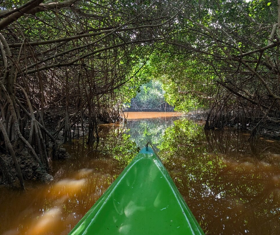 Guardianes De Los Manglares De Dzinintún-塞莱斯顿必去景点