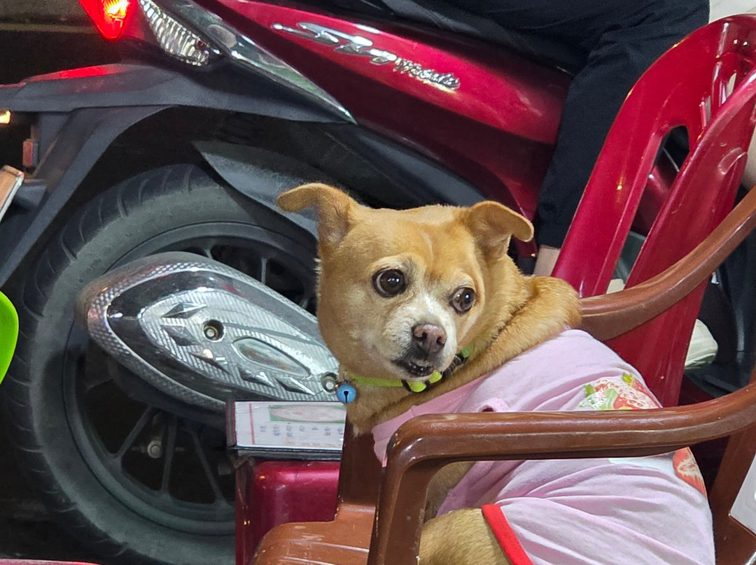 Saigon On Motorbike-胡志明市必去景点