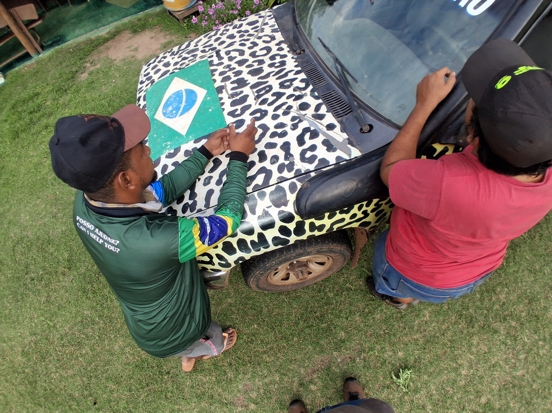 Spot Jaguar Pantanal South Wild Jaguar Tour-科龙巴必去景点
