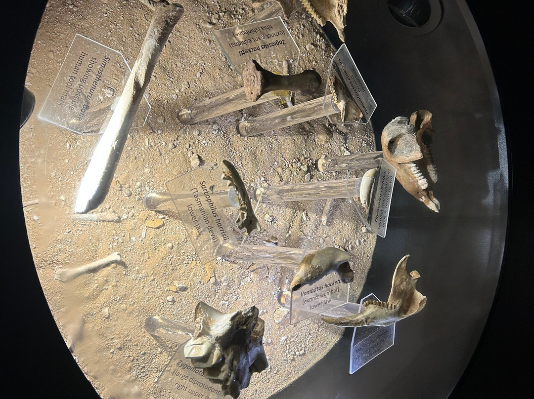 Mammoth Cave-Boranup必去景点