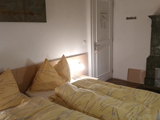 Hotel Des Alpes主图