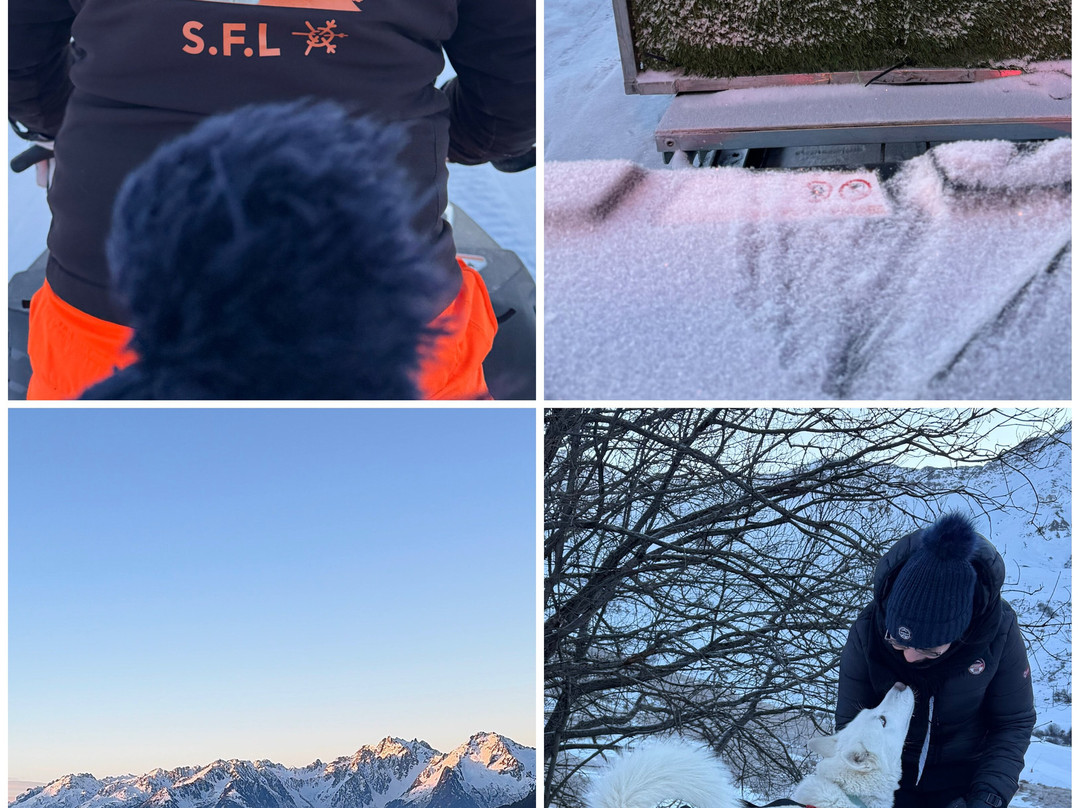 Chiens de Traineau-Saint Francois Longchamp必去景点