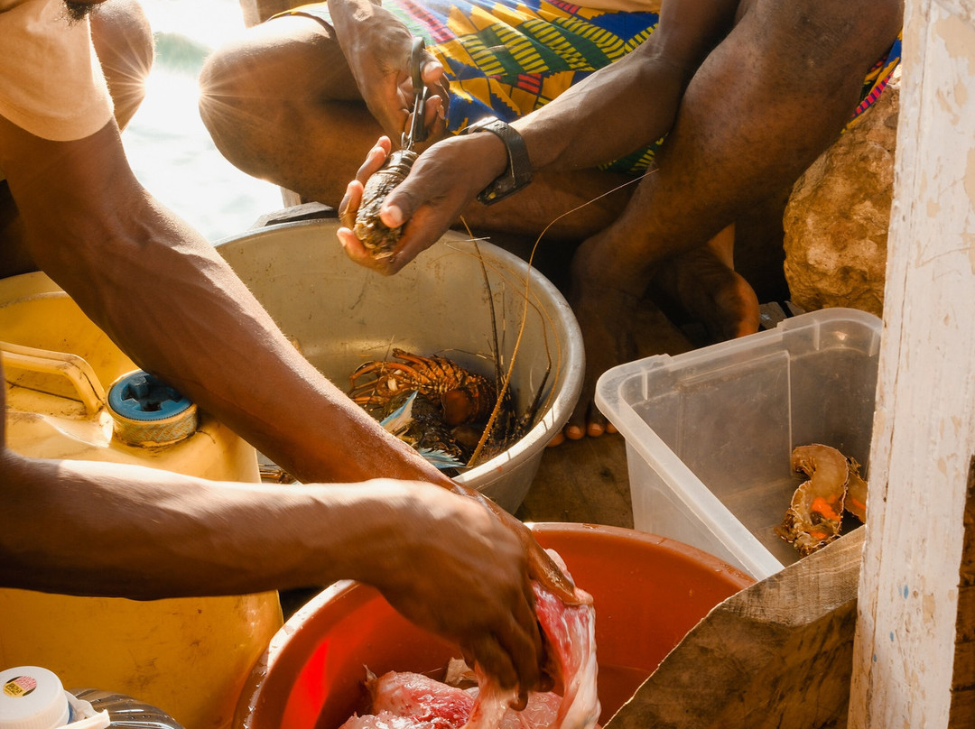 Nomadic Sails-Wasini Island必去景点