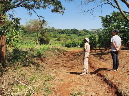 Fairview Coffee Estate-内罗毕必去景点