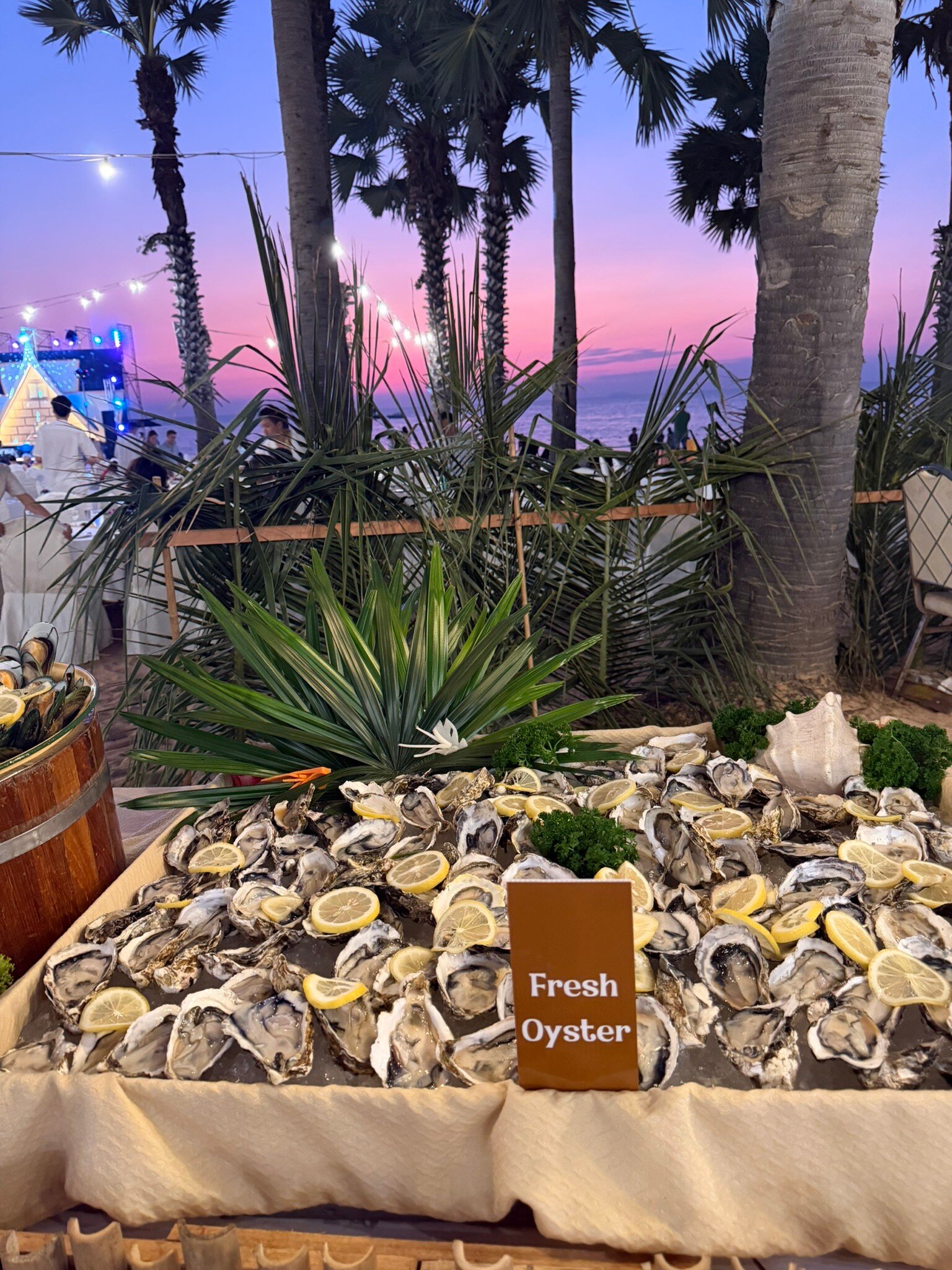 拉文答腊海滩度假酒店-官方