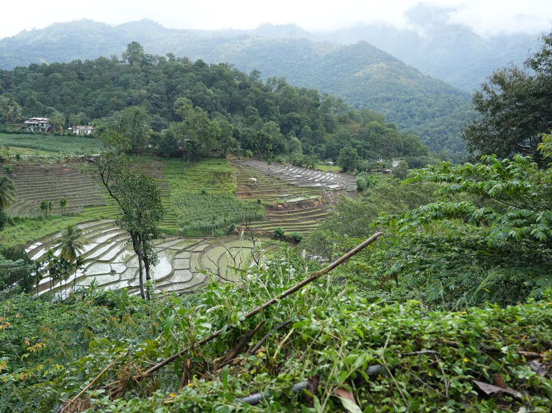 Trek Tropical Tours - Sri Lanka Tours & Travels-埃勒必去景点