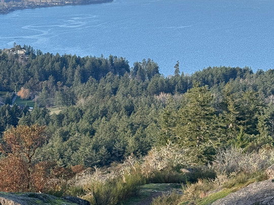 PKOLS Park-Saanich必去景点