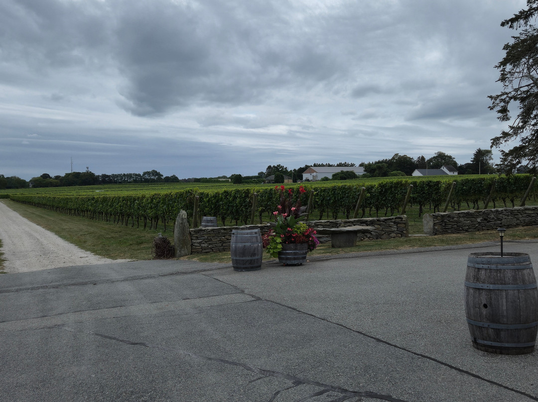 Newport Vineyards-米德尔敦必去景点