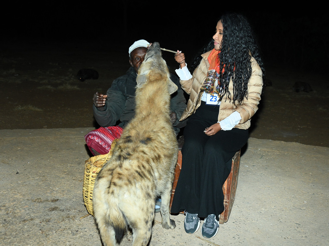 Joel Harar Tours-哈勒尔必去景点