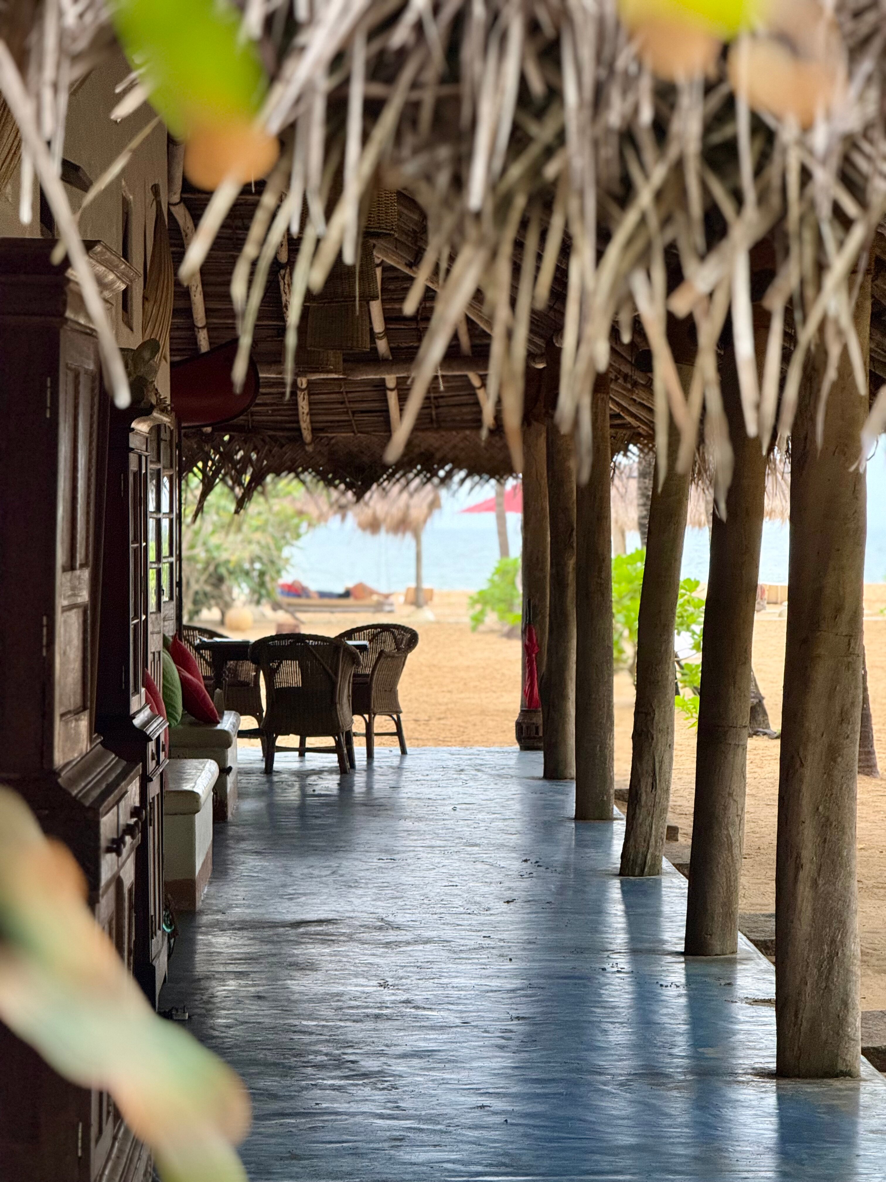 海豚海滩度假村-官方