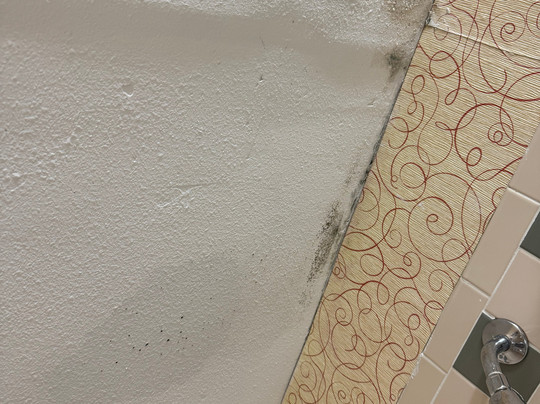 Holiday Inn Express & Suites Brownsville By IHG主图