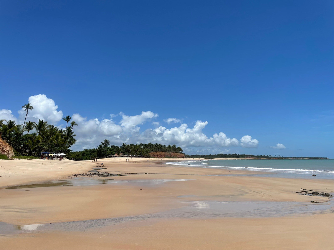 Praia da Barra do Cahy-Cumuruxatiba必去景点