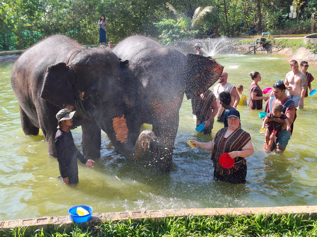 Phuket Elephant Care-奈通必去景点