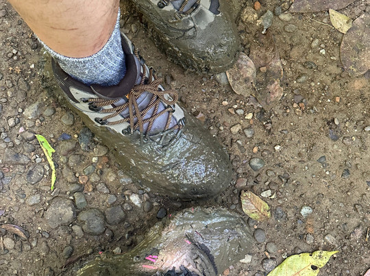 Costa Rica Wild Expeditions-希门尼斯港必去景点