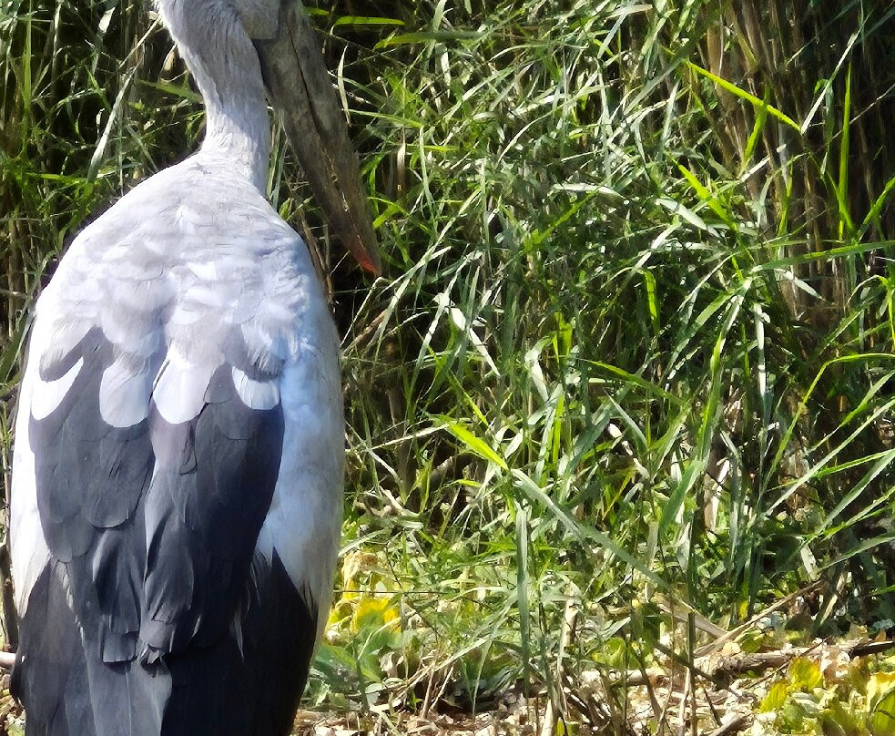 Thung Nham Bird Park-Ninh Hai必去景点