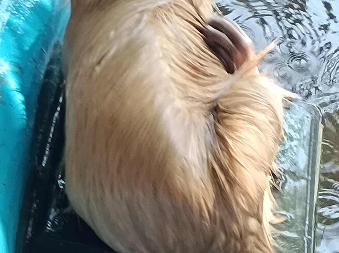 Fundera Park-Yelagiri必去景点