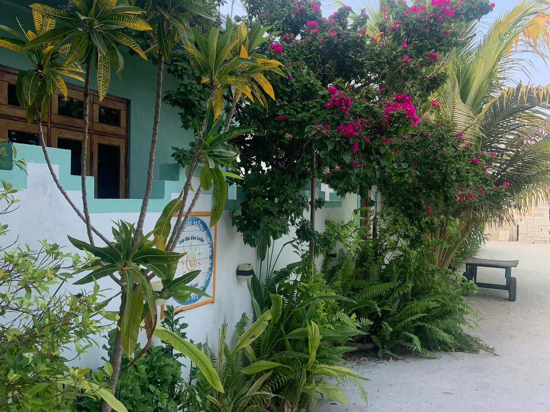 Into the Blue Lodge主图