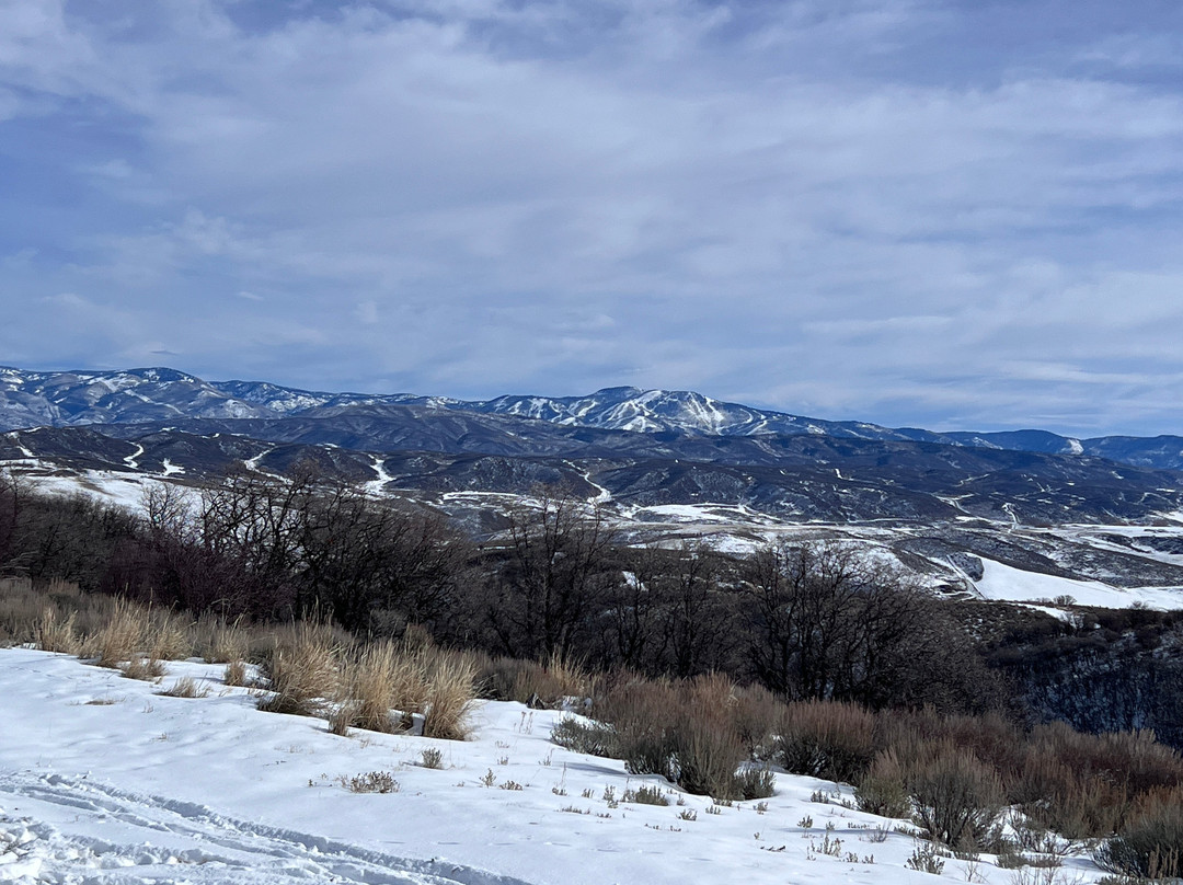 Saddleback Ranch-斯廷博特斯普林斯必去景点