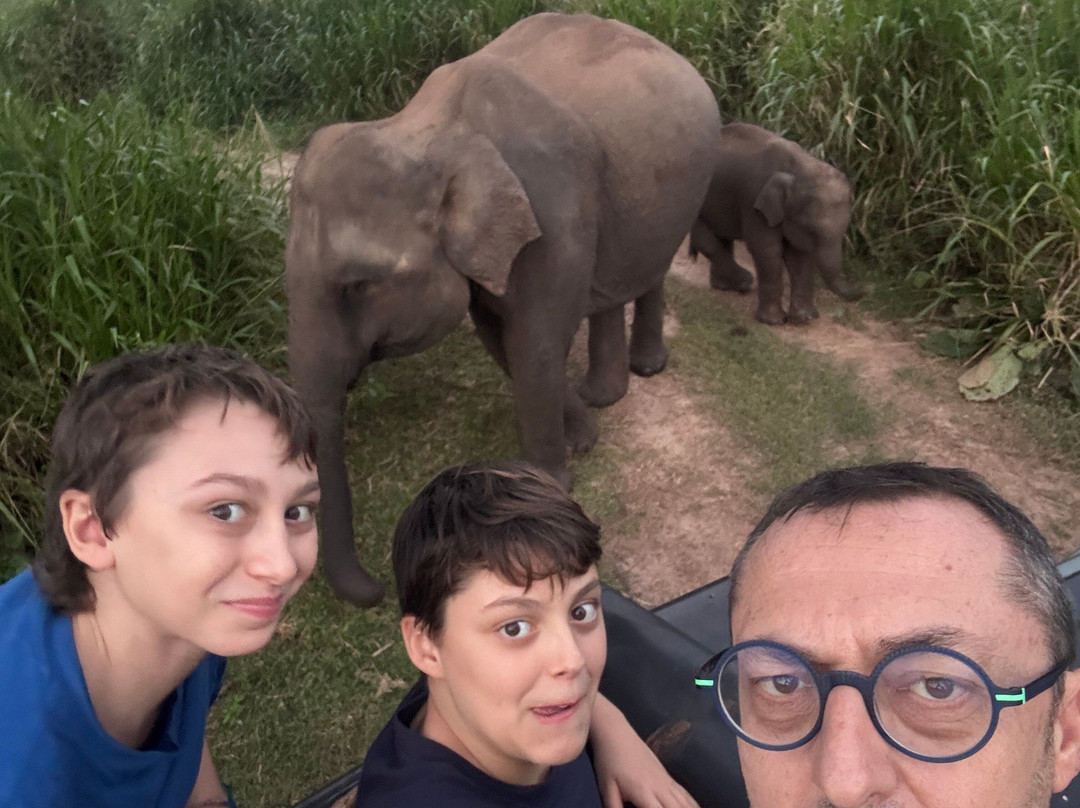 Sri Lanka Driver Tours-Yatiyana必去景点