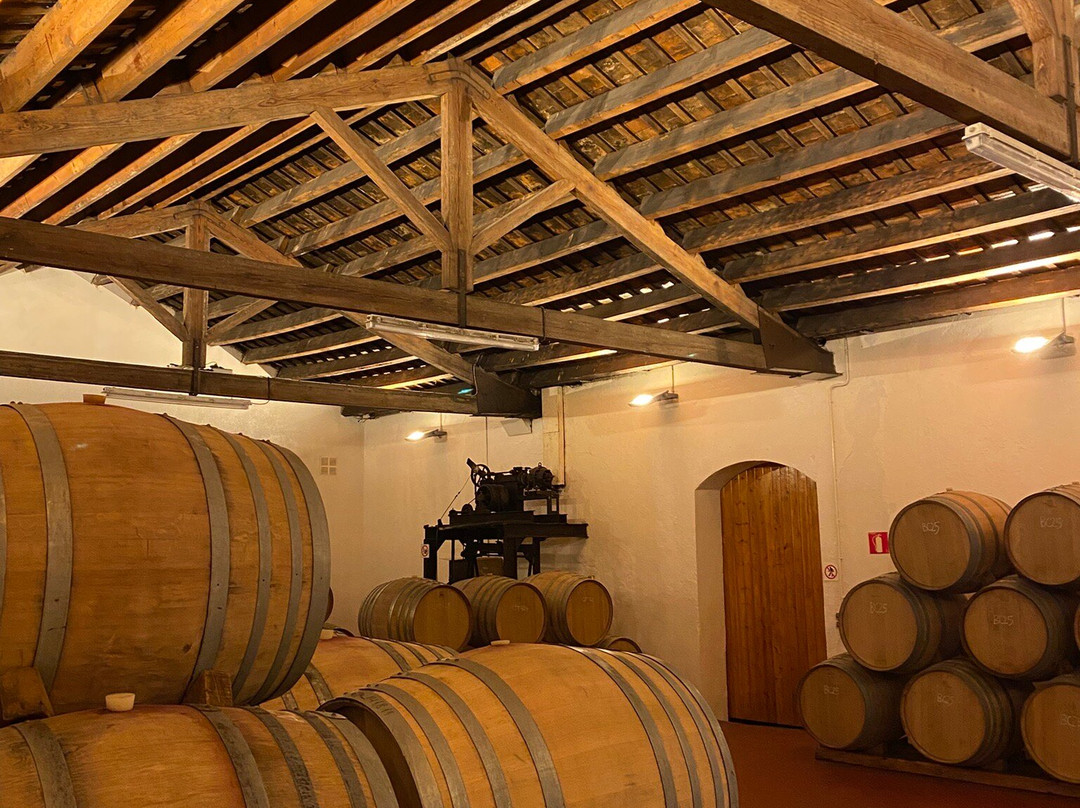 Parés Baltà-Pacs del Penedes必去景点