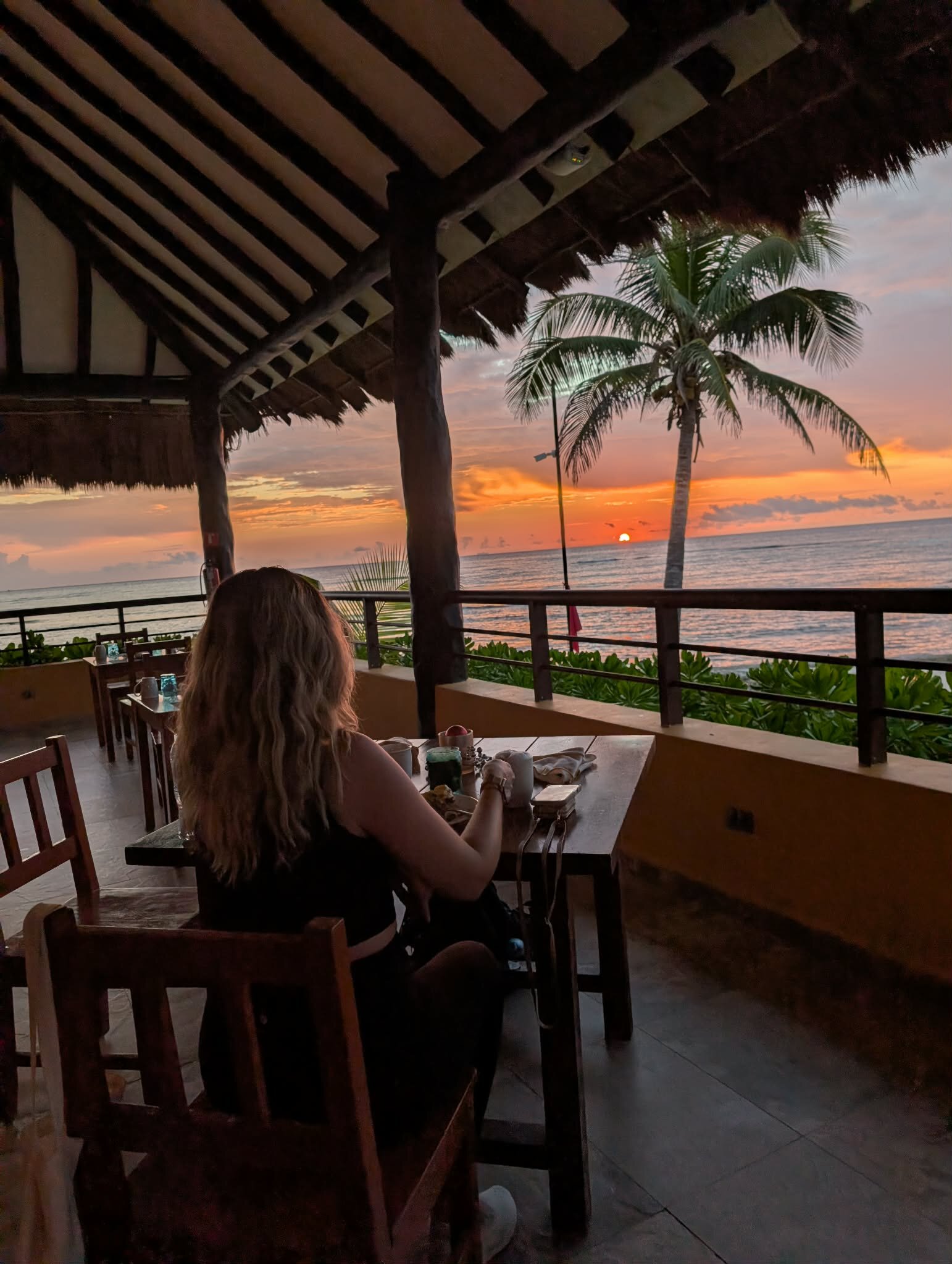 El Dorado Seaside Palms-官方