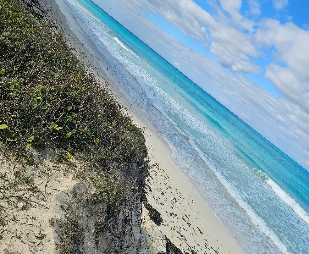 Radio Beach-Alice Town必去景点