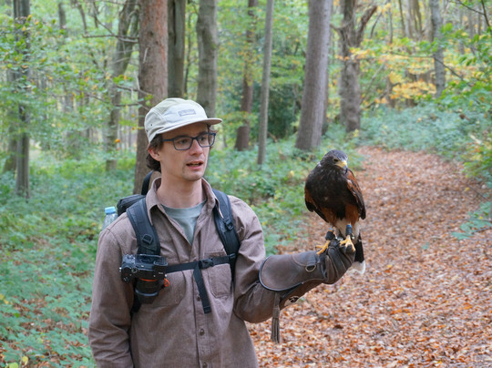 East Sussex Falconry-Herstmonceux必去景点