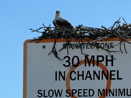Marco Island Boat Tours-Goodland必去景点