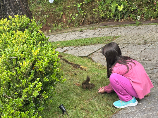 Casablanca Hotel Boutique主图