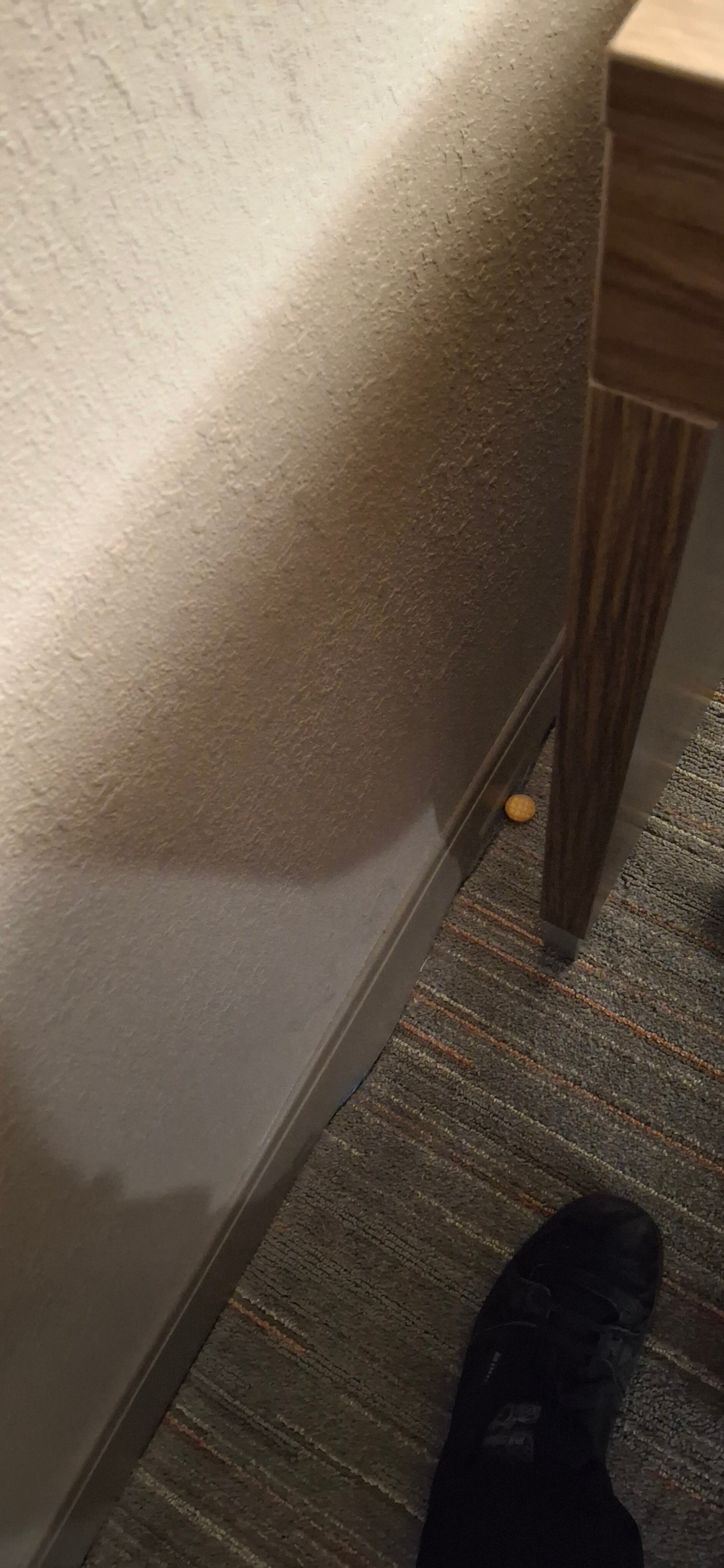 Hampton Inn & Suites Harrisburg/North-客卧