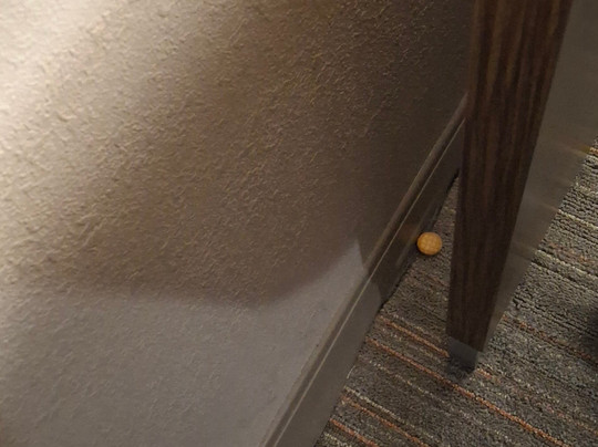 Hampton Inn & Suites Harrisburg/North主图