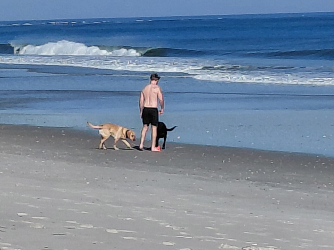 Freeman Park-卡罗来纳比奇必去景点