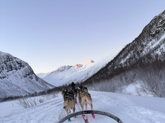 Kvaløya Husky-特罗姆瑟必去景点
