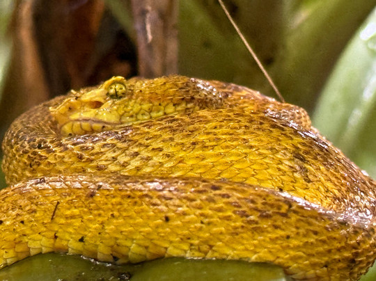 Life Time Travel-萨迪纳尔必去景点