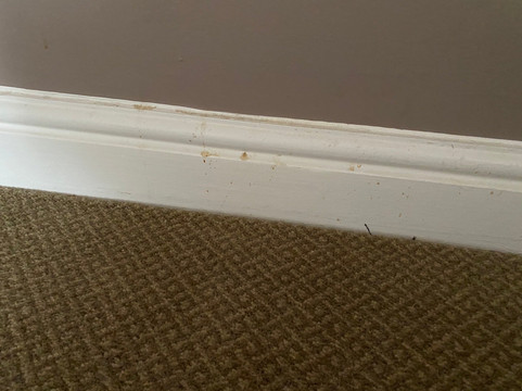 奥尔布赖顿丽笙水疗酒店主图