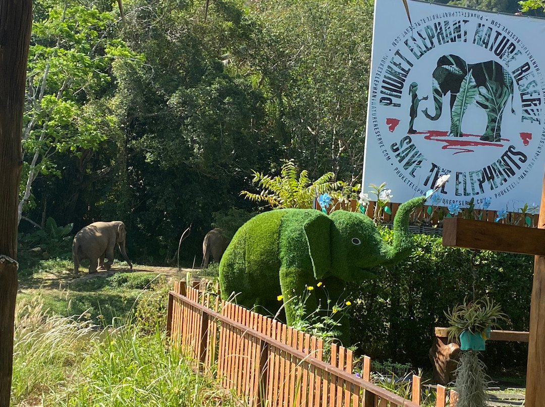 Phuket Elephant Nature Reserve-他朗必去景点