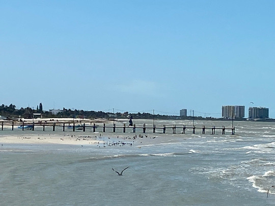 Playa Progreso-Progreso必去景点