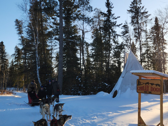 Chilly Dogs Sled Dog Trips-伊利必去景点