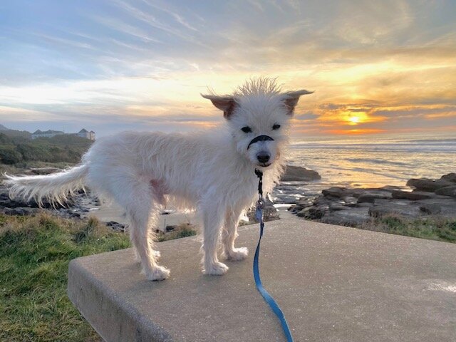 奥多比度假村-浴室