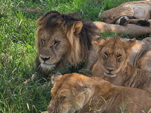 Key2Africa Safaris-阿鲁沙必去景点