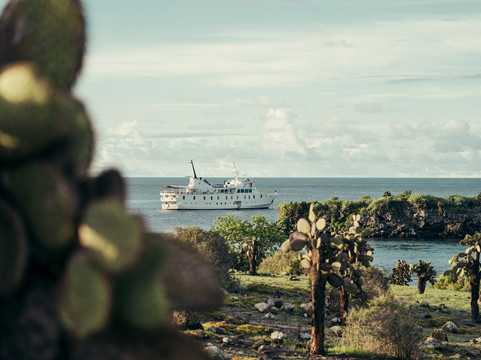 Metropolitan Touring-基多必去景点
