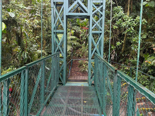 Alejandro Chaves Viquez Tour Guide-圣何塞必去景点
