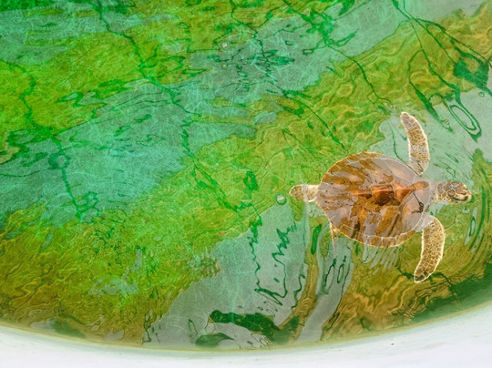 Phetchaburi Aquacultic Demostraton Farm