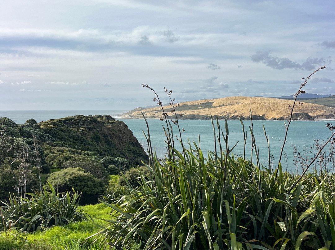 Great North Tours Limited-汉密尔顿必去景点